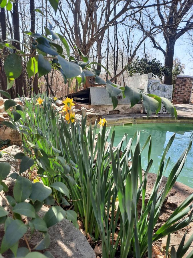 Arcadia Luxury Guesthouse Kroonstad Exterior foto